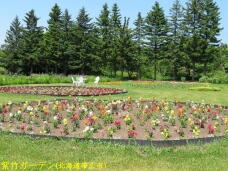 183201_3.jpg  : 109 KB