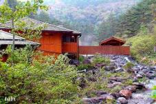 183222_2.jpg  : 62 KB