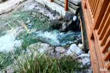 183222_9.jpg  : 110 KB