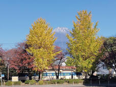 183230_1.jpg  : 330 KB