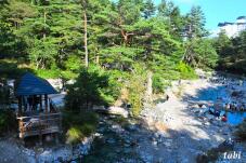 183236_1.jpg  : 138 KB