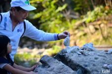 183236_7.jpg  : 59 KB