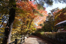 183242_1.jpg  : 421 KB