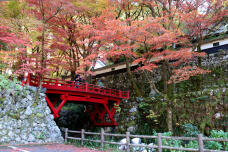 183244_1.jpg  : 283 KB