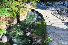 183250_2.jpg  : 155 KB