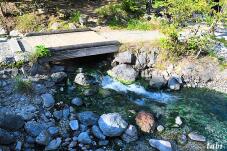 183250_3.jpg  : 156 KB