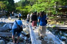 183250_5.jpg  : 120 KB