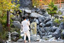 183250_7.jpg  : 110 KB