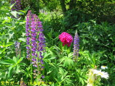 183252_1.jpg  : 100 KB