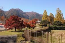 183260_2.jpg  : 133 KB