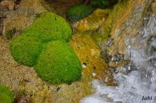 183281_10.jpg  : 49 KB