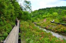 183281_9.jpg  : 56 KB