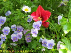 183283_1.jpg  : 72 KB