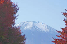 183287_1.jpg  : 157 KB