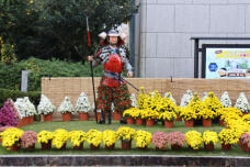 183289_2.jpg  : 107 KB