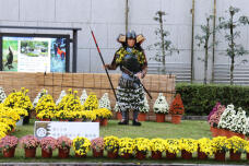 183289_3.jpg  : 127 KB