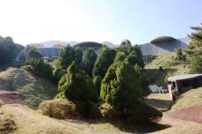 183292_2.jpg  : 117 KB