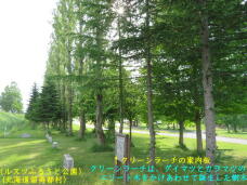 183297_2.jpg  : 86 KB