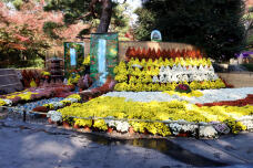 183303_1.jpg  : 154 KB