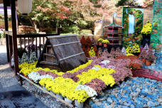 183303_2.jpg  : 172 KB