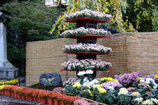 183303_3.jpg  : 147 KB