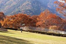 183309_2.jpg  : 166 KB