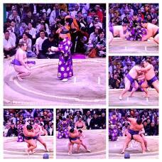 183320_1.jpg  : 196 KB