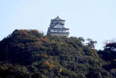 183335_2.jpg  : 77 KB