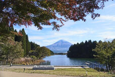 183336_2.jpg  : 107 KB