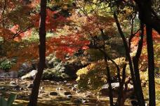 183340_3.jpg  : 179 KB