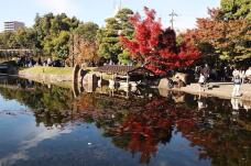 183356_1.jpg  : 153 KB