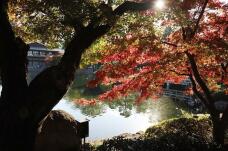 183356_3.jpg  : 153 KB