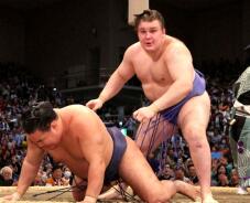 183365_2.jpg  : 80 KB