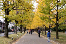 183369_3.jpg  : 154 KB