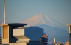 183371_1.jpg  : 30 KB