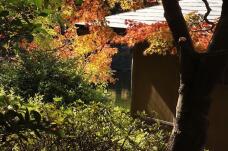 183377_3.jpg  : 163 KB