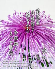 183387_1.jpg  : 260 KB