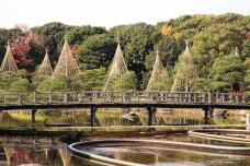 183389_1.jpg  : 149 KB