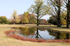 183399_1.jpg  : 132 KB