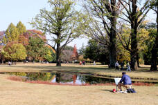 183399_2.jpg  : 146 KB