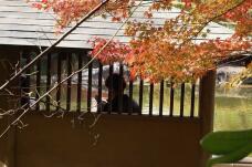 183407_1.jpg  : 129 KB