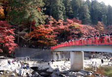 183415_1.jpg  : 142 KB