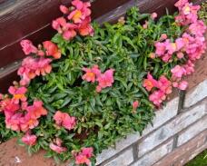 183418_1.jpg  : 64 KB