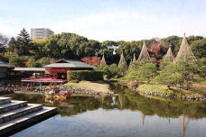 183422_1.jpg  : 170 KB