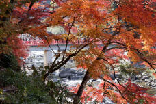 183431_2.jpg  : 176 KB