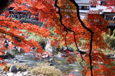 183431_3.jpg  : 183 KB