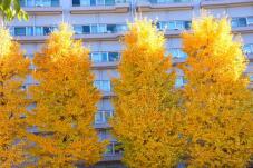 183435_2.jpg  : 89 KB