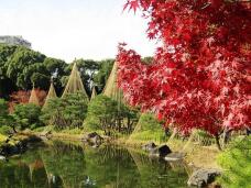 183456_1.jpg  : 153 KB