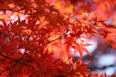 183465_2.jpg  : 93 KB