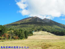 183471_1.jpg  : 71 KB